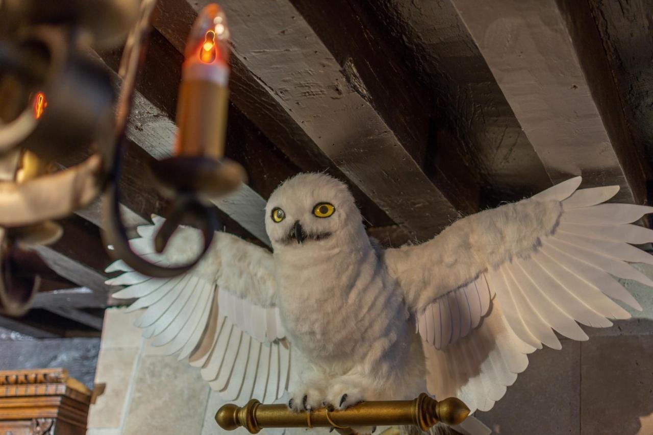 "Appartementdusorcier" Magique Experience & Parking ディジョン エクステリア 写真